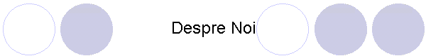 Despre Noi